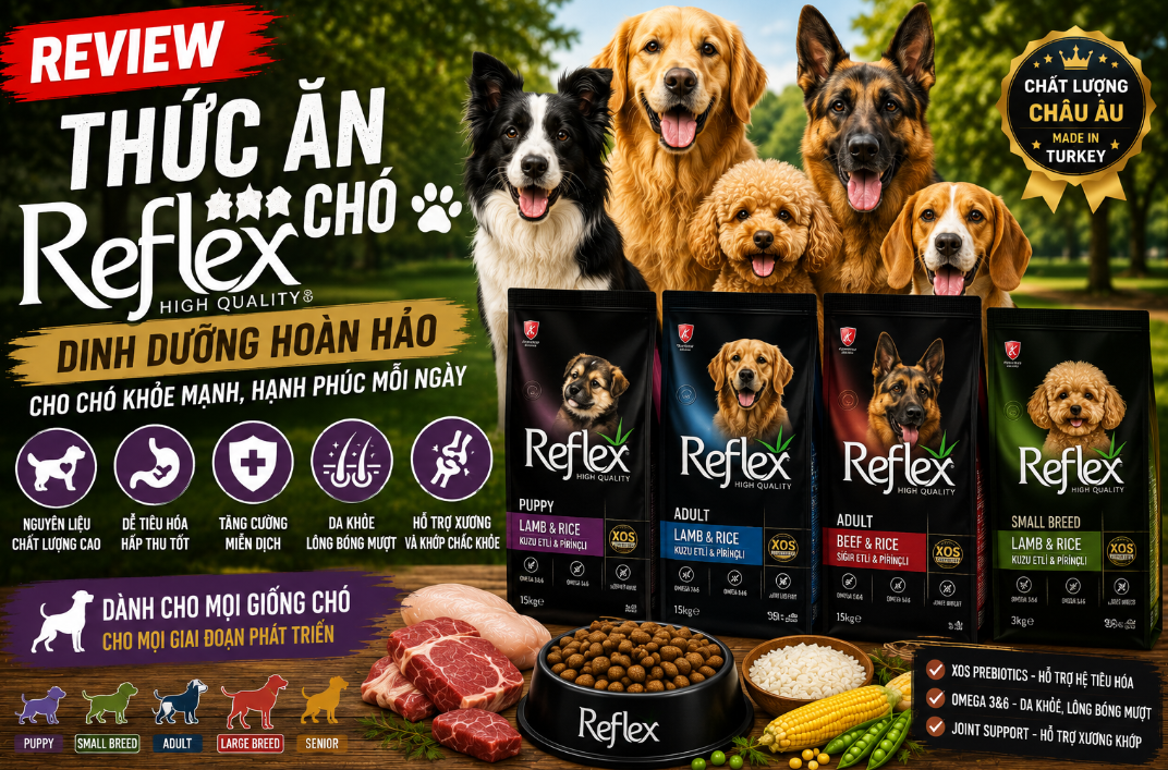 Thức Ăn Cho Chó Reflex - An Toàn Cho Đường Ruột Của Cún