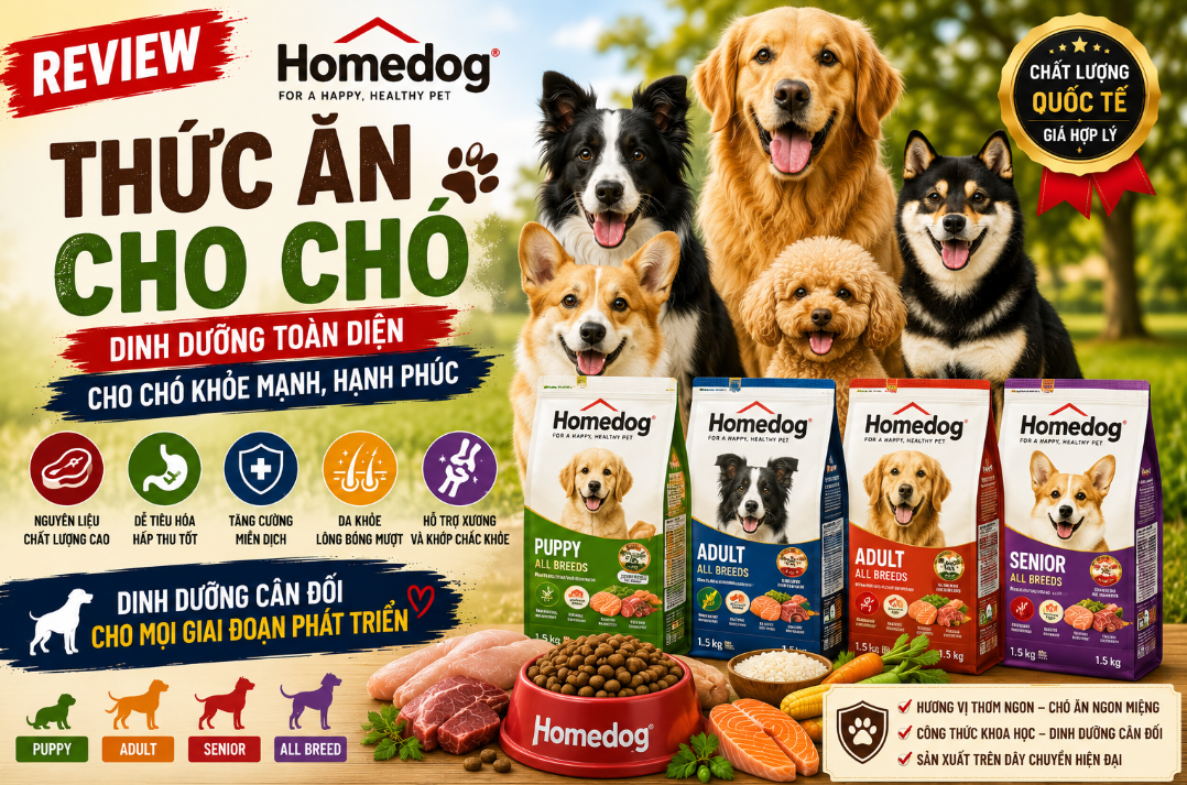 Home Dog - Giải Pháp Hoàn Hảo  Chó Nuôi Trong Căn Hộ?