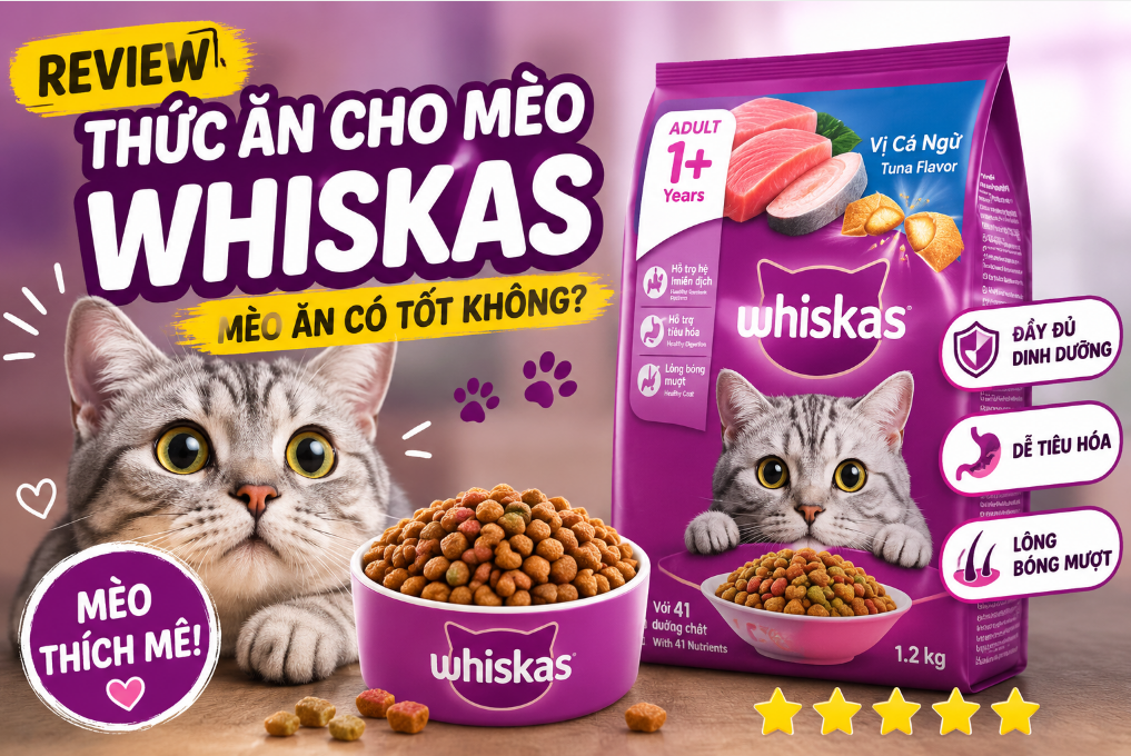 Review Thức Ăn Cho Mèo Whiskas - Top 1 Thức Ăn Cho Boss