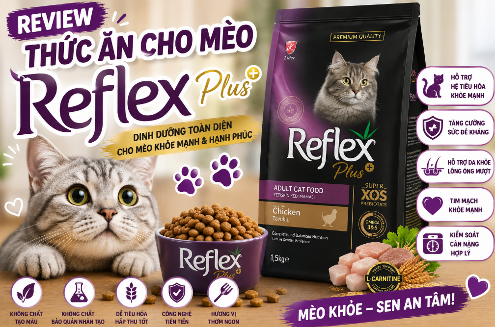 Đánh Giá Chi Tiết Thức Ăn Cho Mèo Reflex / Reflex Plus