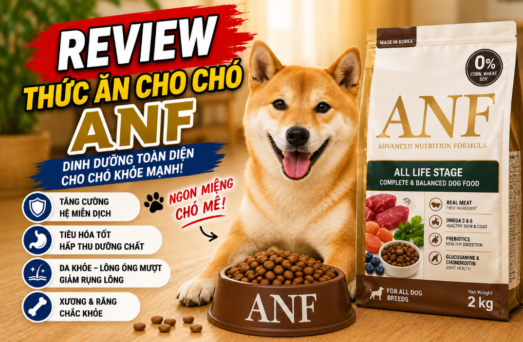 Mổ Xẻ Hạt Hữu Cơ ANF: Giải Pháp Đột Phá Cho Cún
